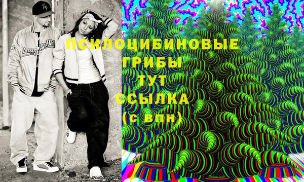 дурь Белоозёрский